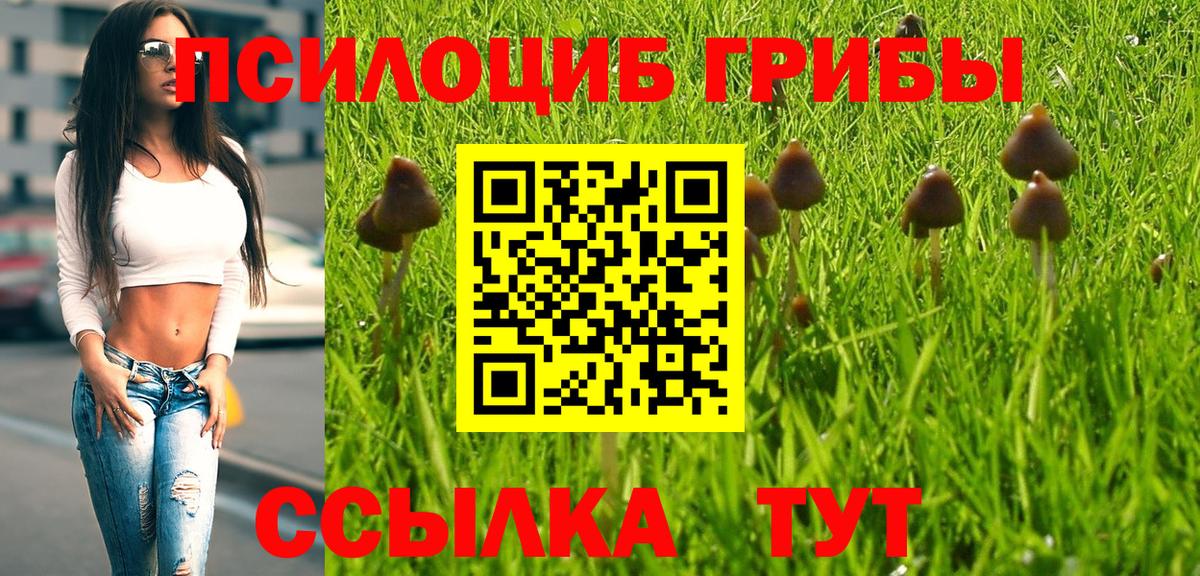 Галлюциногенные грибы мухоморы  Псилоцибиновые грибы GOLDEN TEACHER  Вход с VPN  Узловая 